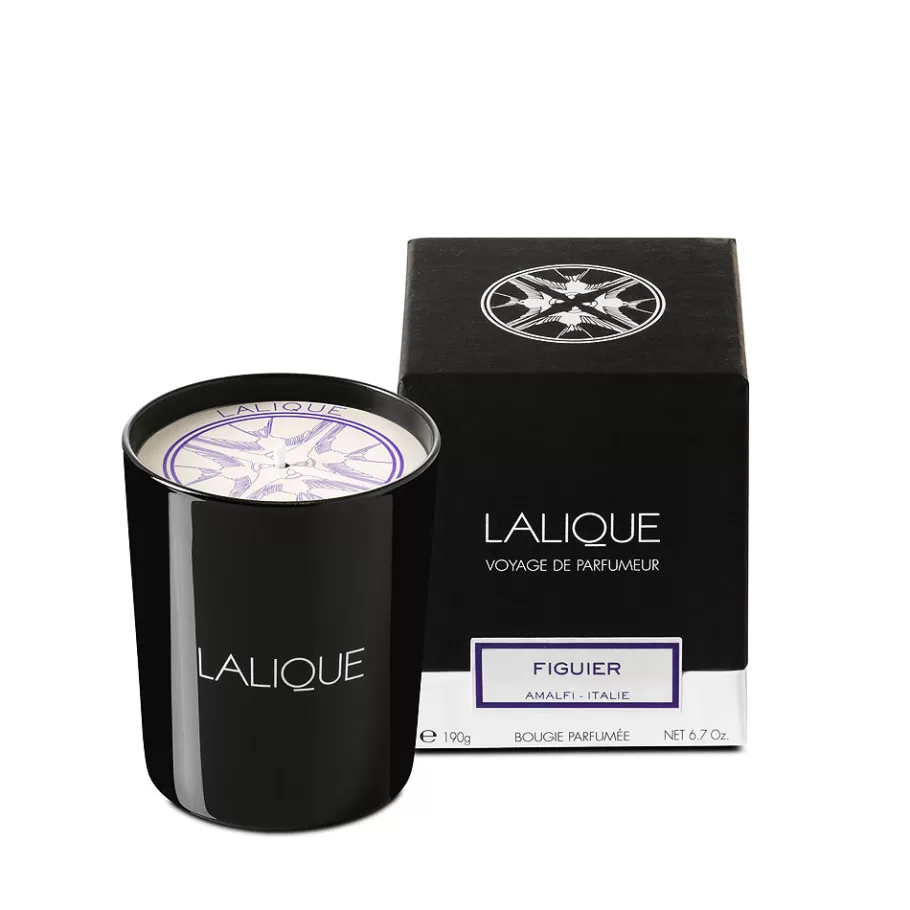 Lalique Candles^Fig Tree, Amalfi - Italy, Scented Candle