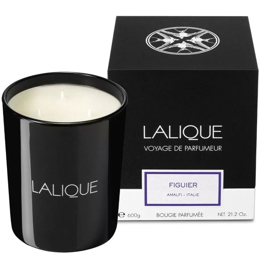 Lalique Candles^Fig Tree, Amalfi - Italy, Scented Candle, 600g