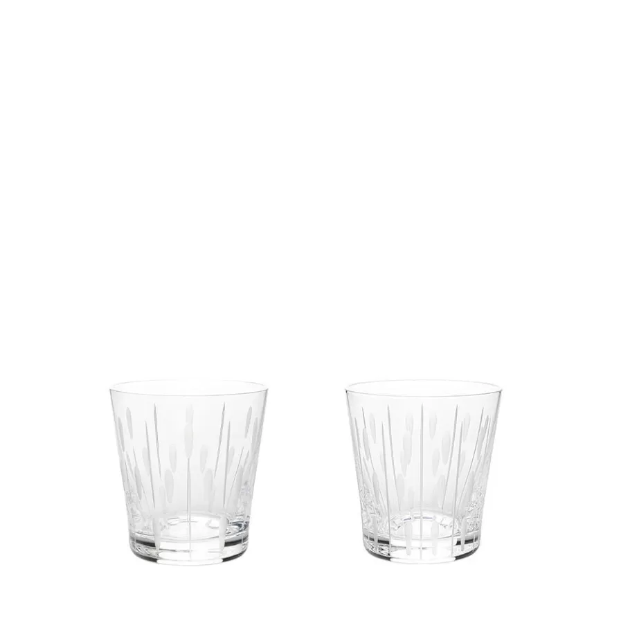 Lalique Glasses^Lotus, 2 tumblers set 20 cl