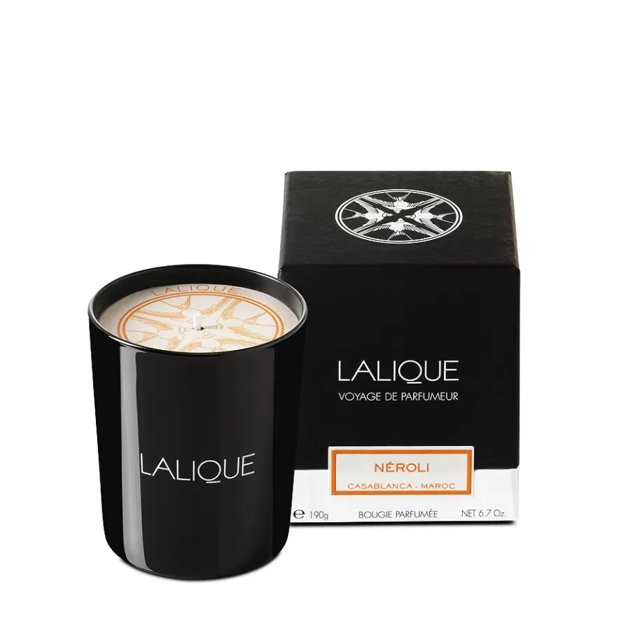 Lalique Candles^Néroli, Casablanca - Morocco, Scented Candle, 190g