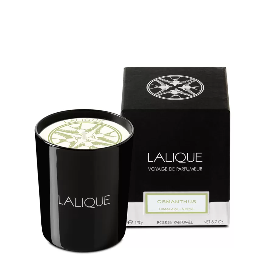 Lalique Candles^Osmanthus, Himalaya - Nepal, Scented Candle