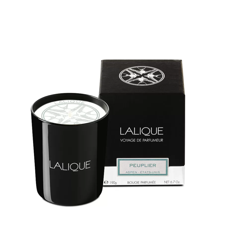 Lalique Candles^Poplar, Aspen - United States, Scented Candle