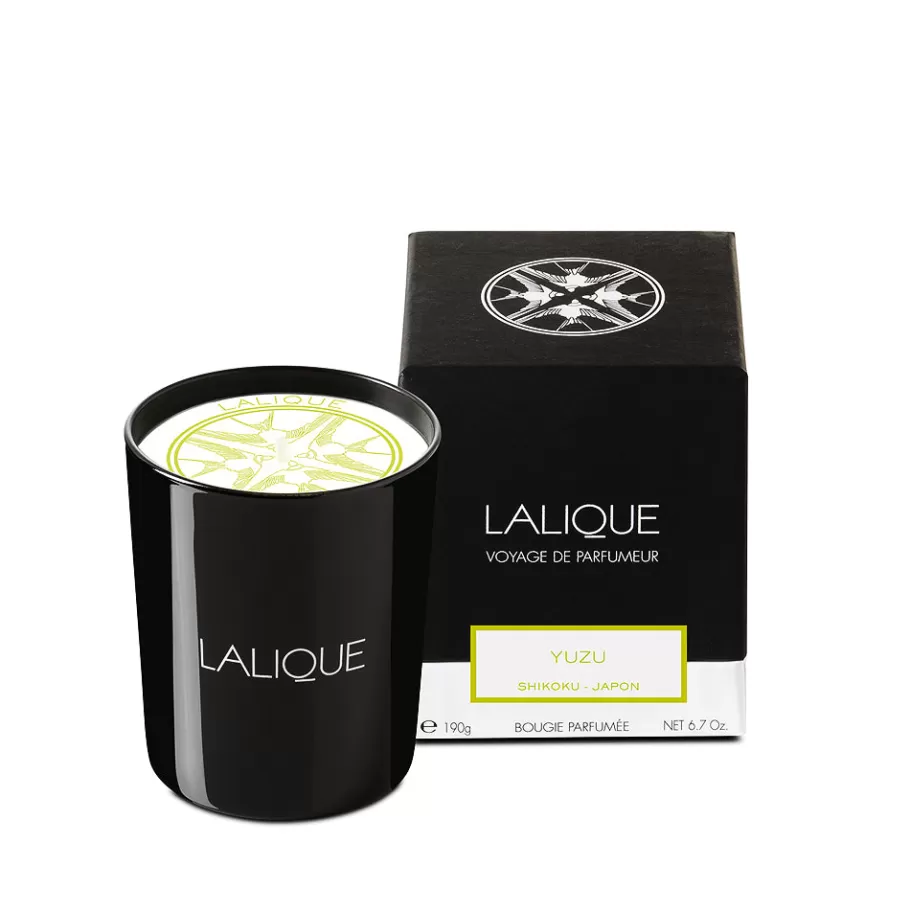 Lalique Candles^Yuzu, Shikoku - Japan, Scented candle